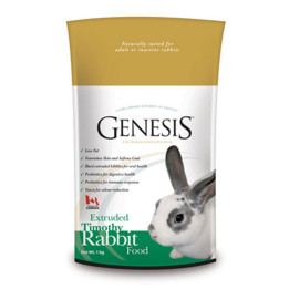 Genesis Rabbit Timothy