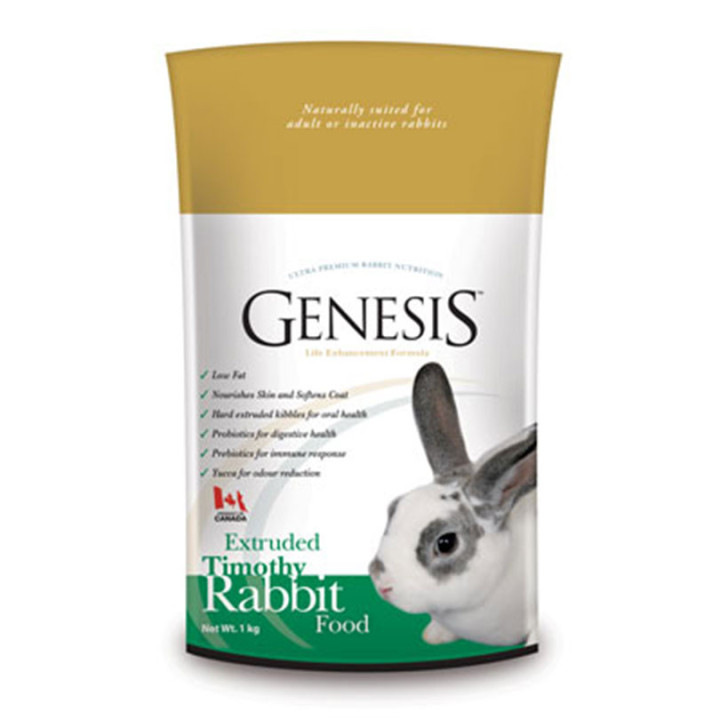 Genesis Rabbit Timothy