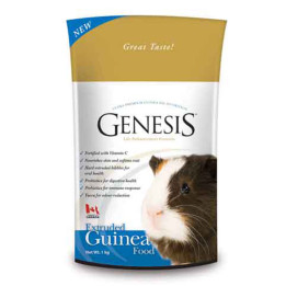 Genesis Guinea Pig