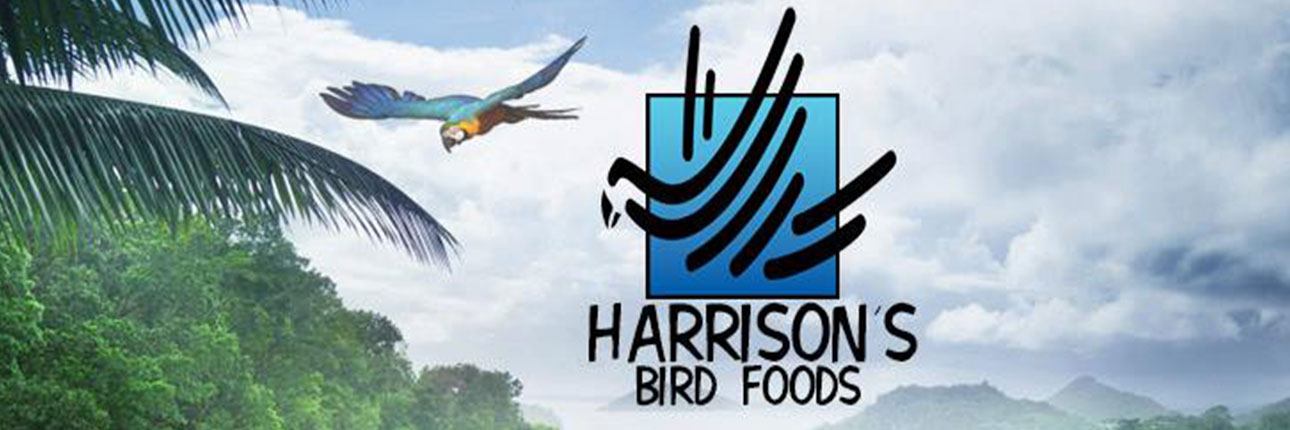 harrison's
