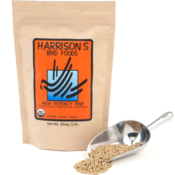 hpf1