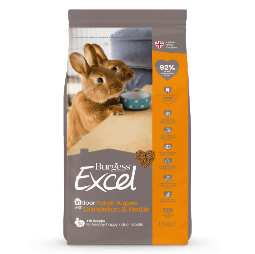 Indoor Rabbit 01 1.5kg